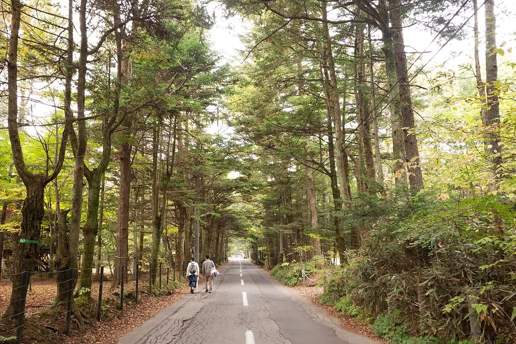 Shinetsu Trail